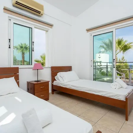 Chrysanthemum Villa *